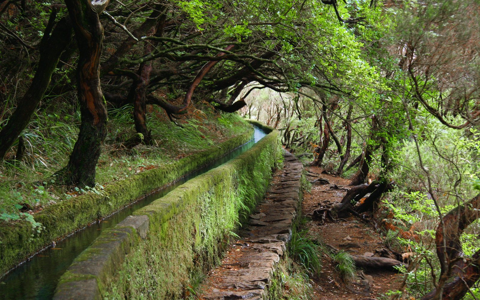 Madeira Garden Resort in Funchal